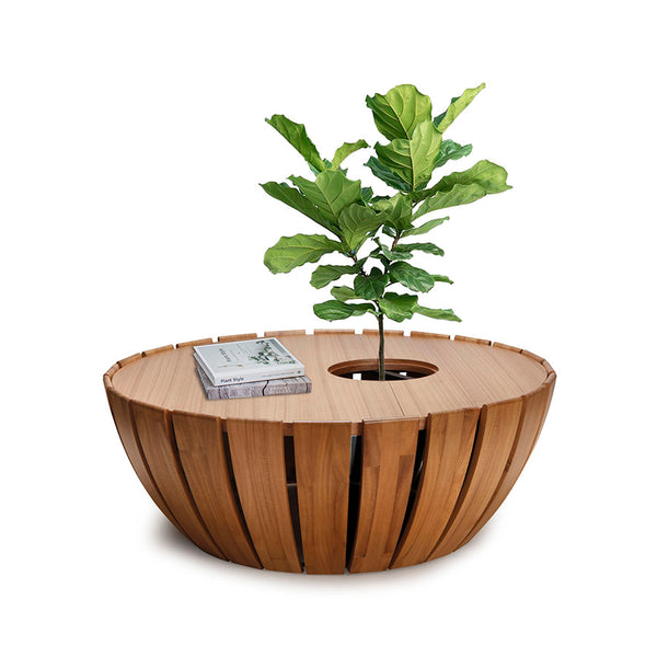 Alivia Coffee Table