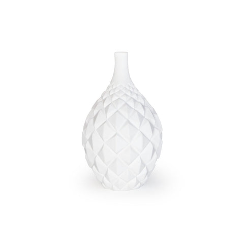 Chirimoya Vase